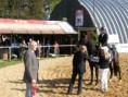 /album/jezdectvi/a02-depoltovice-kone-017-1000-jpg/